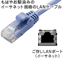 もはやお馴染み、イーサネット規格のLANケーブル