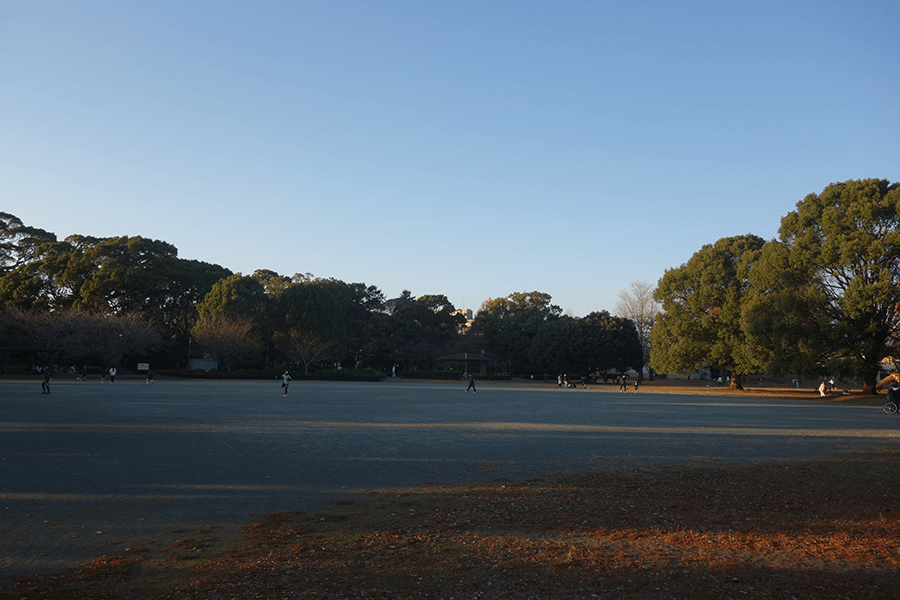 のどかな公園