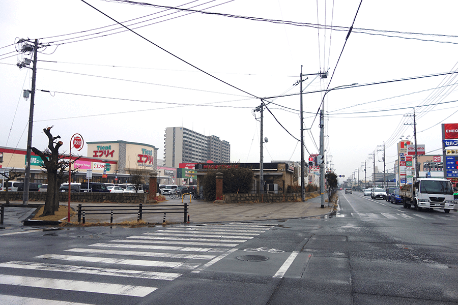 左手にあるのがココローズ福山