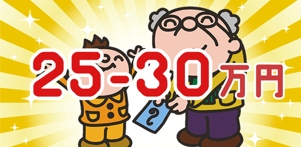 25万円以上～30万円未満