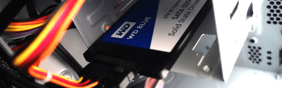 WDC WDS100T2B0A-00SM50 1000.2 GB