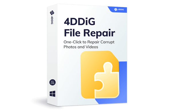 4DDiG File Repair